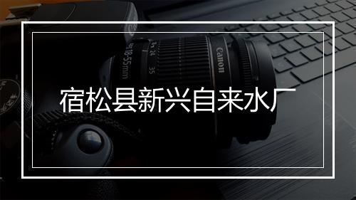 宿松县新兴自来水厂