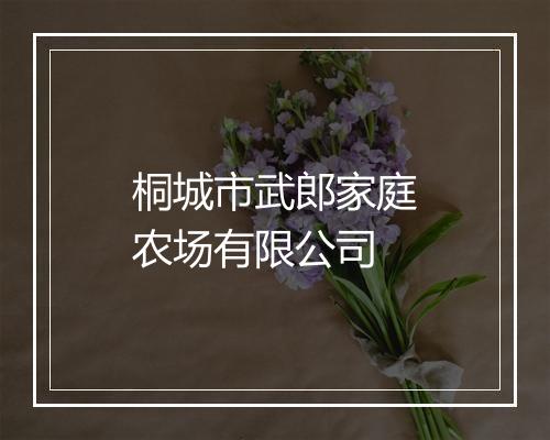 桐城市武郎家庭农场有限公司
