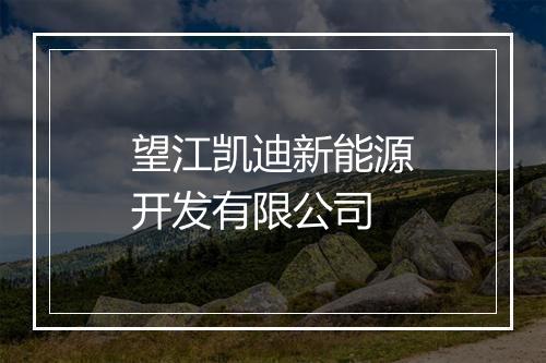 望江凯迪新能源开发有限公司