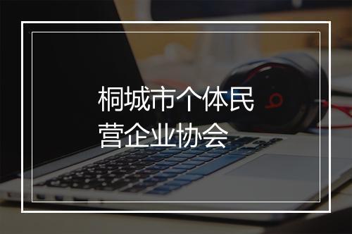桐城市个体民营企业协会