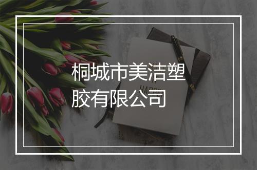桐城市美洁塑胶有限公司