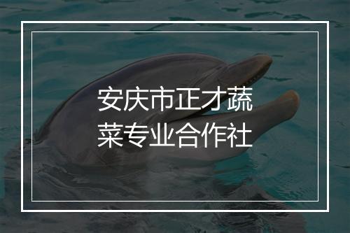 安庆市正才蔬菜专业合作社