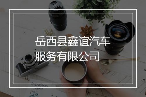 岳西县鑫谊汽车服务有限公司