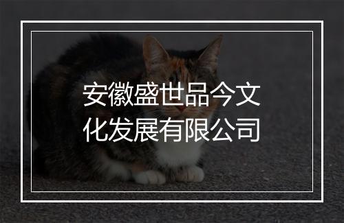 安徽盛世品今文化发展有限公司