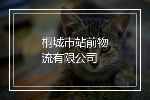桐城市站前物流有限公司