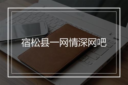 宿松县一网情深网吧