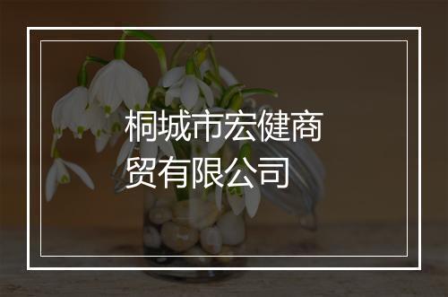 桐城市宏健商贸有限公司