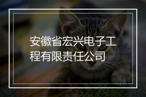 安徽省宏兴电子工程有限责任公司
