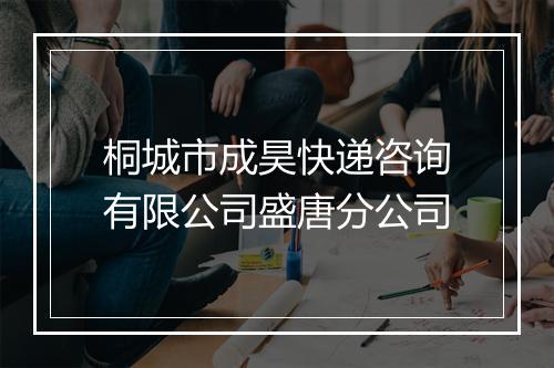桐城市成昊快递咨询有限公司盛唐分公司