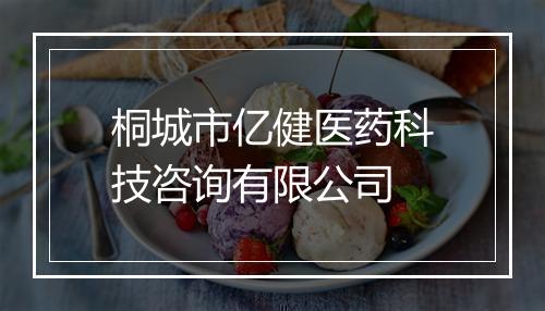 桐城市亿健医药科技咨询有限公司