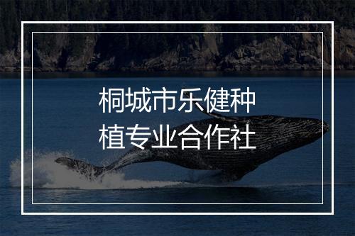 桐城市乐健种植专业合作社