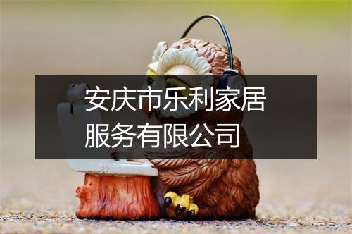 安庆市乐利家居服务有限公司