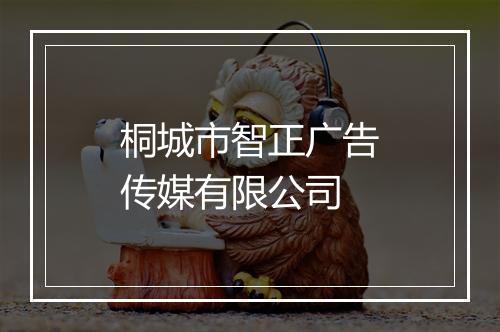 桐城市智正广告传媒有限公司