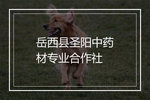 岳西县圣阳中药材专业合作社