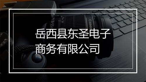 岳西县东圣电子商务有限公司