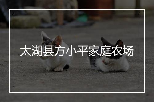 太湖县方小平家庭农场