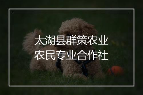 太湖县群策农业农民专业合作社