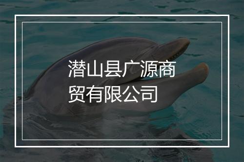 潜山县广源商贸有限公司