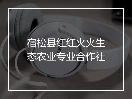 宿松县红红火火生态农业专业合作社