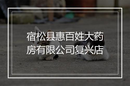 宿松县惠百姓大药房有限公司复兴店