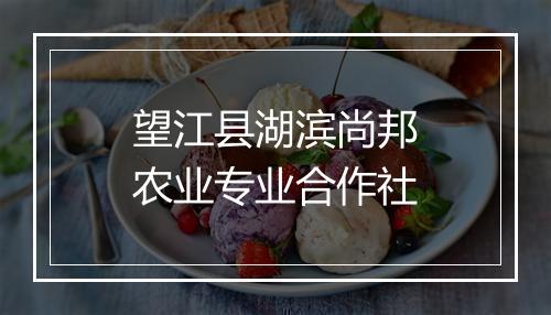 望江县湖滨尚邦农业专业合作社