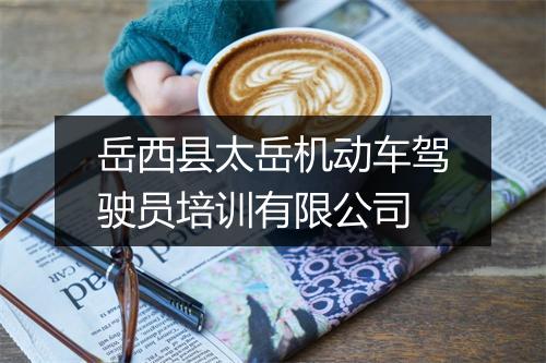 岳西县太岳机动车驾驶员培训有限公司