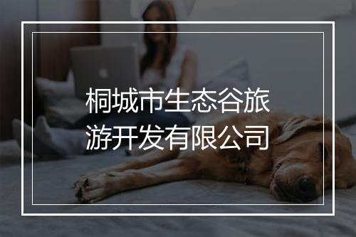 桐城市生态谷旅游开发有限公司