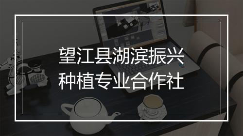 望江县湖滨振兴种植专业合作社