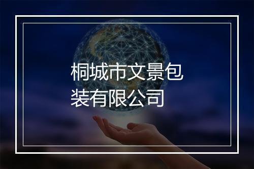 桐城市文景包装有限公司