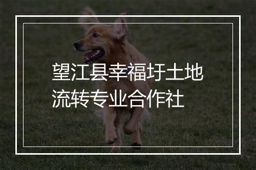 望江县幸福圩土地流转专业合作社