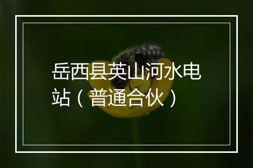 岳西县英山河水电站（普通合伙）