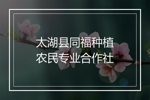 太湖县同福种植农民专业合作社
