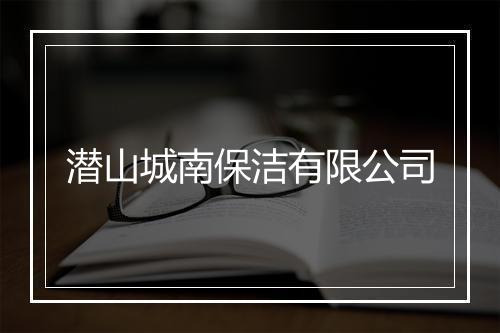 潜山城南保洁有限公司