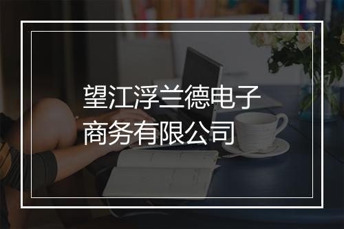 望江浮兰德电子商务有限公司