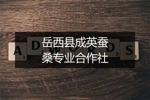 岳西县成英蚕桑专业合作社