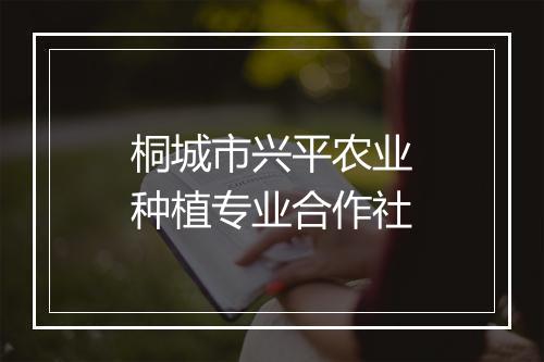 桐城市兴平农业种植专业合作社