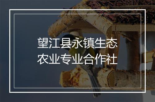 望江县永镇生态农业专业合作社