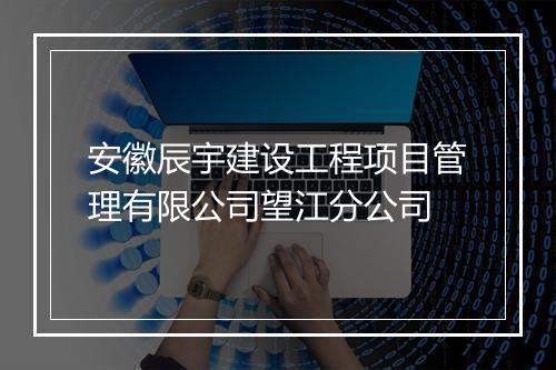 安徽辰宇建设工程项目管理有限公司望江分公司