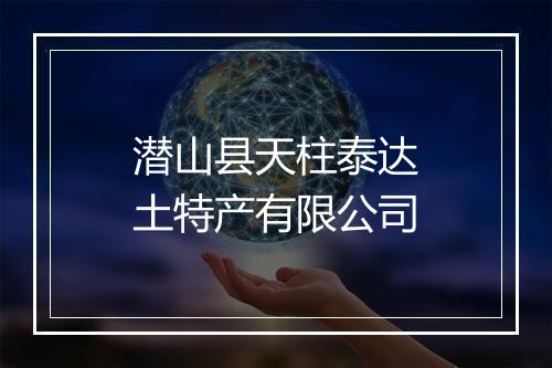 潜山县天柱泰达土特产有限公司