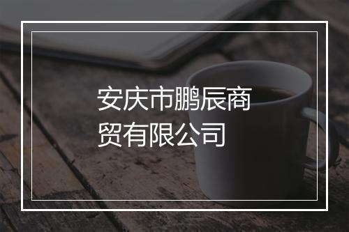 安庆市鹏辰商贸有限公司