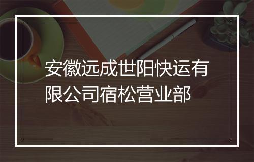 安徽远成世阳快运有限公司宿松营业部