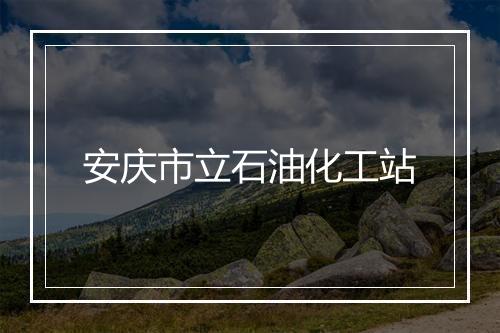 安庆市立石油化工站