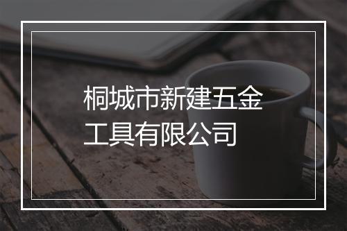 桐城市新建五金工具有限公司