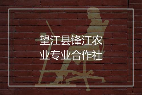 望江县锋江农业专业合作社