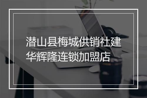 潜山县梅城供销社建华辉隆连锁加盟店