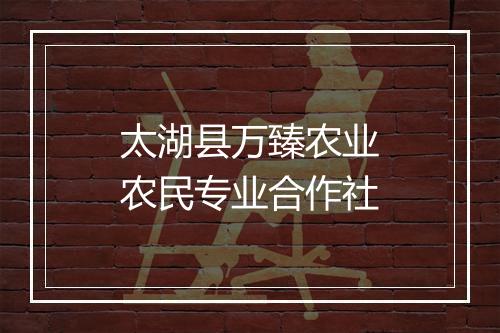 太湖县万臻农业农民专业合作社