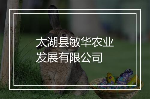 太湖县敏华农业发展有限公司