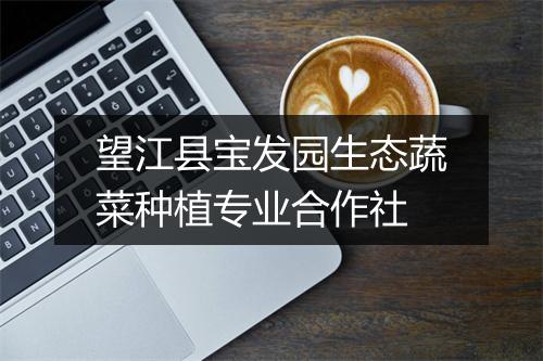 望江县宝发园生态蔬菜种植专业合作社