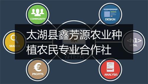 太湖县鑫芳源农业种植农民专业合作社