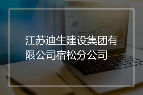 江苏迪生建设集团有限公司宿松分公司